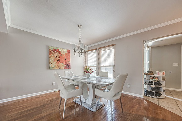 Reshoot8166HalseyST-6